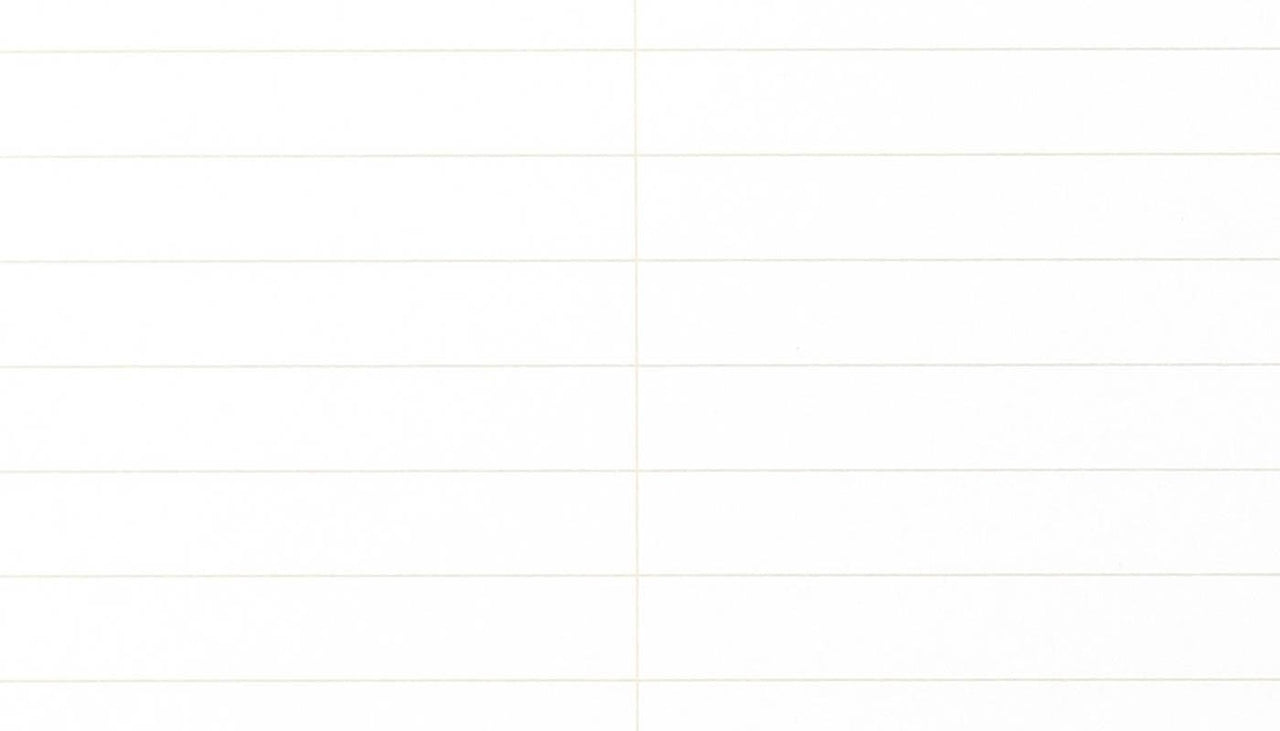 Field Notes 80 Page Steno Book