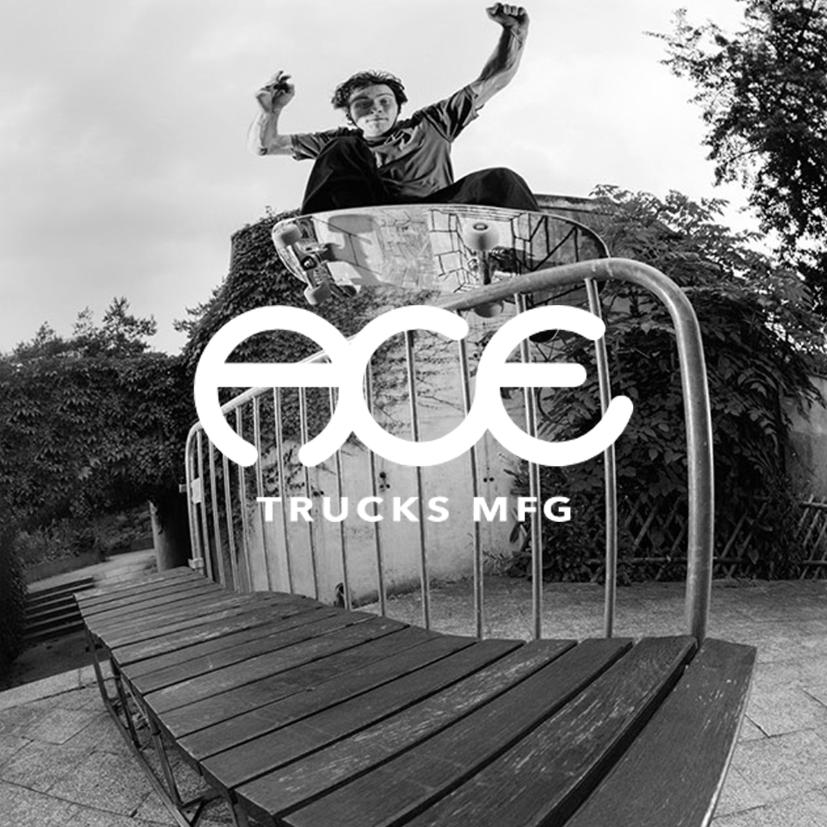 Ace - Directive Boardshop