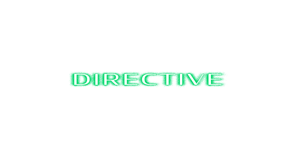 Directive Boardshop