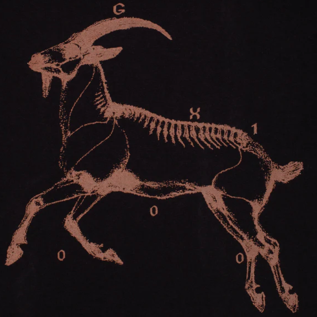GX1000 Goat T-Shirt - Black