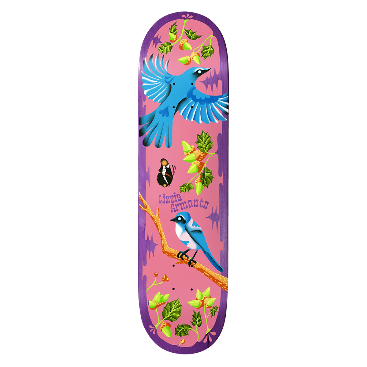 Birdhouse Lizzie Armanto Theodore Payne Skate Deck - 8.25
